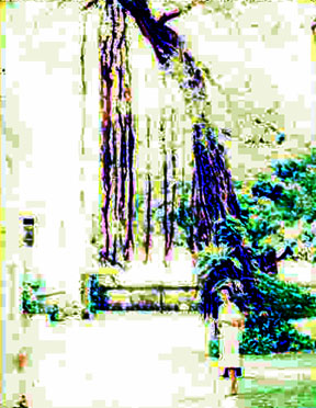 124