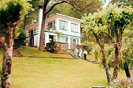 46