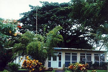 265-226