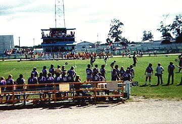 powderpuff 3
