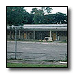 Click here for Jerry Weed's Class of 1978 Pages
