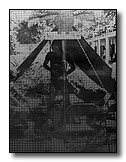 146