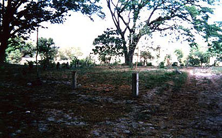 The Stables