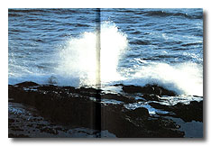 Inside Cover Pages