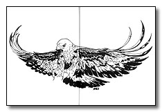 Inside Back Cover