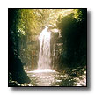 Click here to view Bruce Hawkins' Faculty Pages