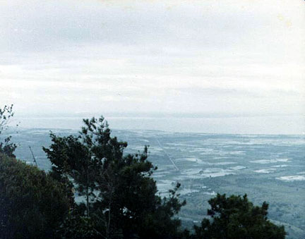 95