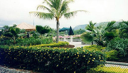 Near Water Park