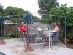 party5.jpg