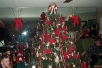 Live Christmas tree with candles
