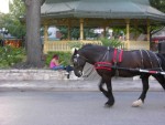 san ant 044.jpg