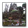 Click here for information on San Jose 2000
