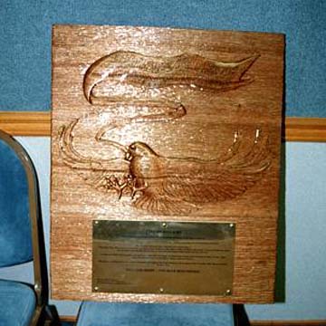 251-17