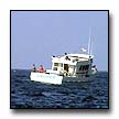 Click here to view photos from Catalina 2000