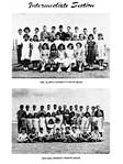 Click to see big picture (648x864 pixels; 133 KB))