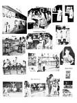 Click to see big picture (648x864 pixels; 146 KB))