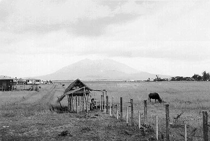 Arayat