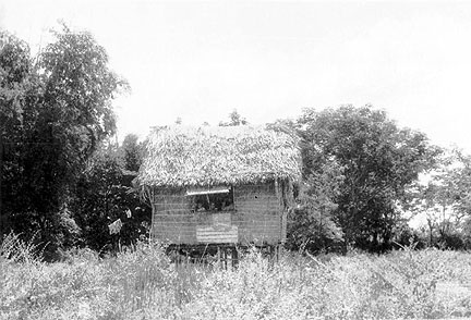 Nipa Hut