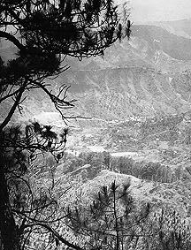 Looking along the road to Baguio