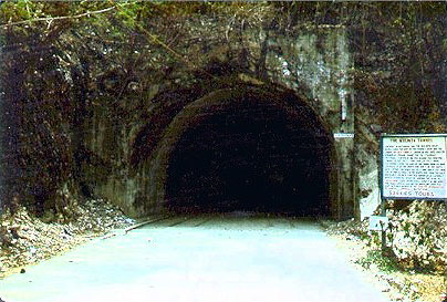 malinta1.jpg (43807 bytes)