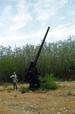 aagun.jpg (34058 bytes)