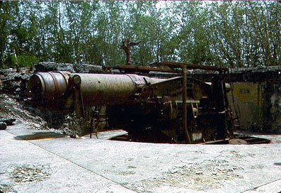 dispguns.jpg (48916 bytes)