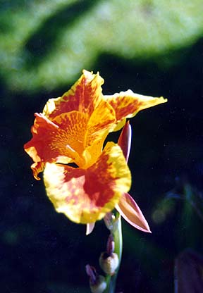 130