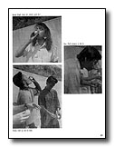 81
