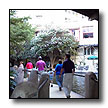 Click here to view the San Antonio '99 photos