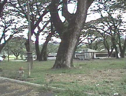 464-603