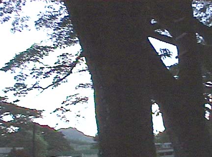 473-626