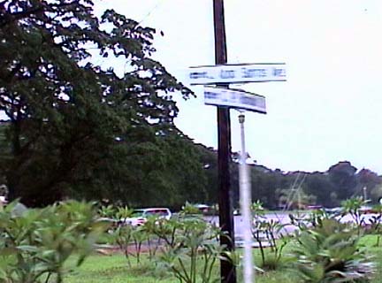 231-317