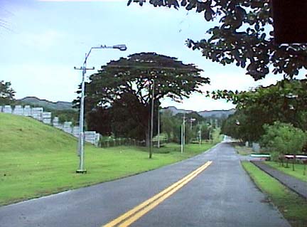 245-331