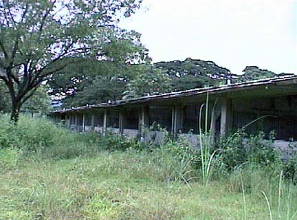 298-384