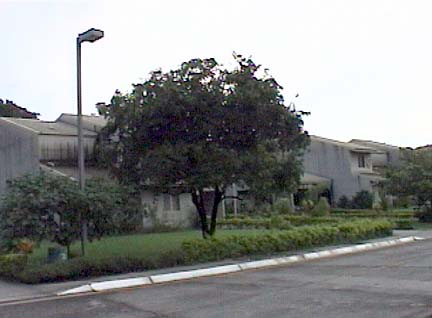 391-527