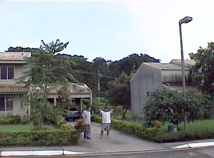 392-528