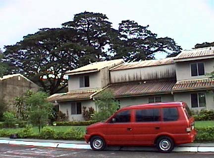 393-531