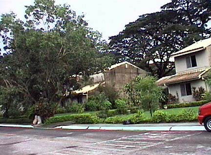 394-532
