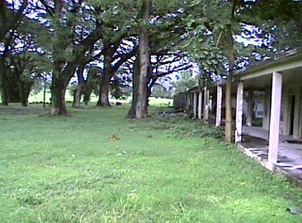 410-564