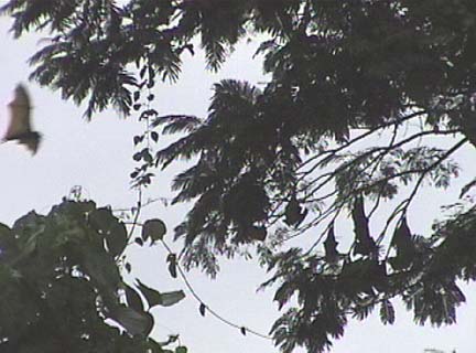 501-108