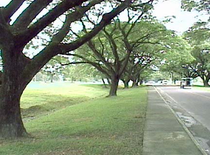 546-196