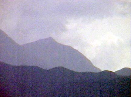 10-839