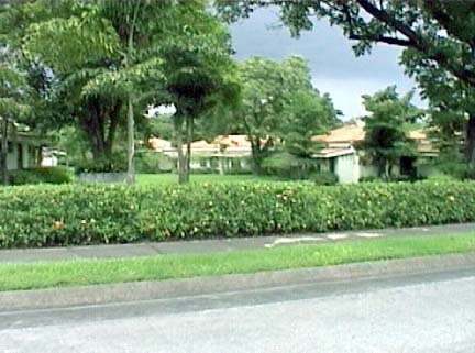56-384