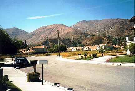 The neighborhood