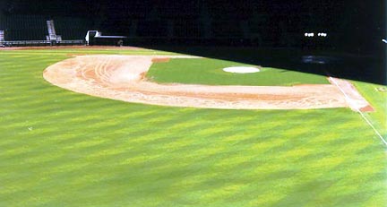 At the ballpark