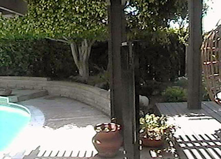 the patio at Carmen's house