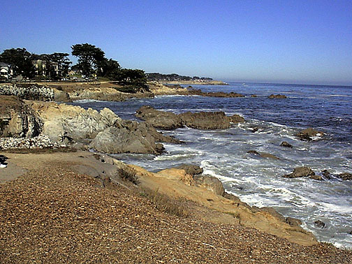 67